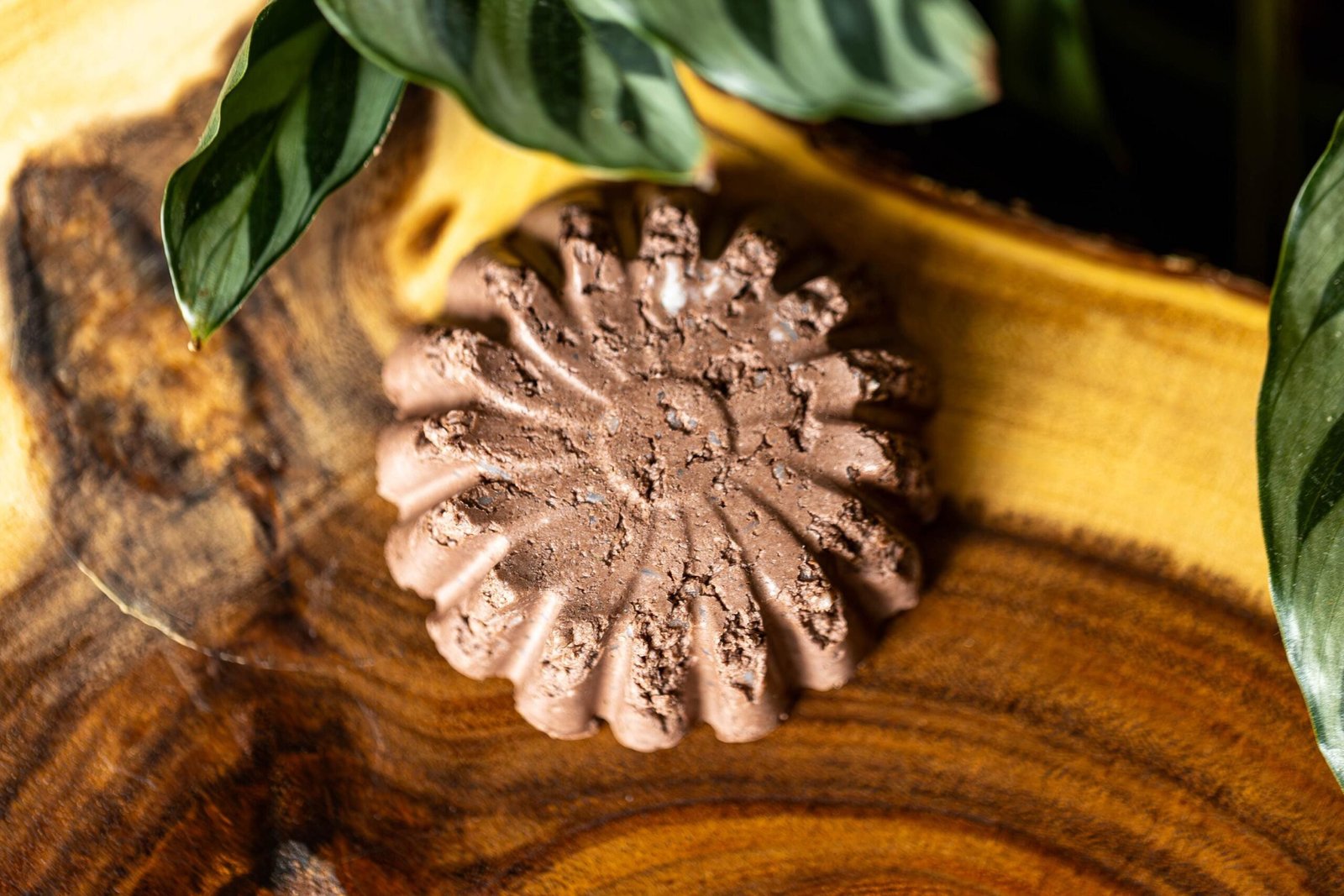 Moroccan Clay Shampoo Bar 4 il fullxfull.6774202439 7bdb scaled