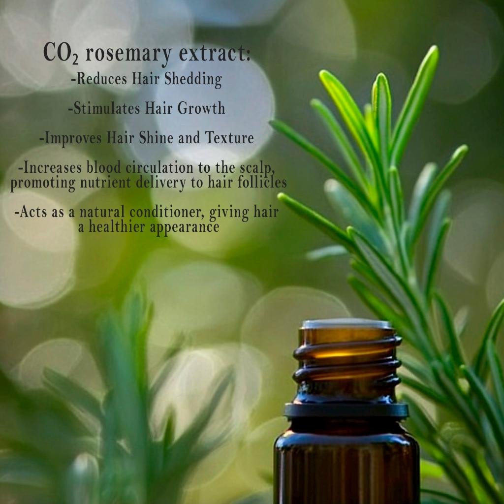 Organic Hair Growth Rosemary Oil 5